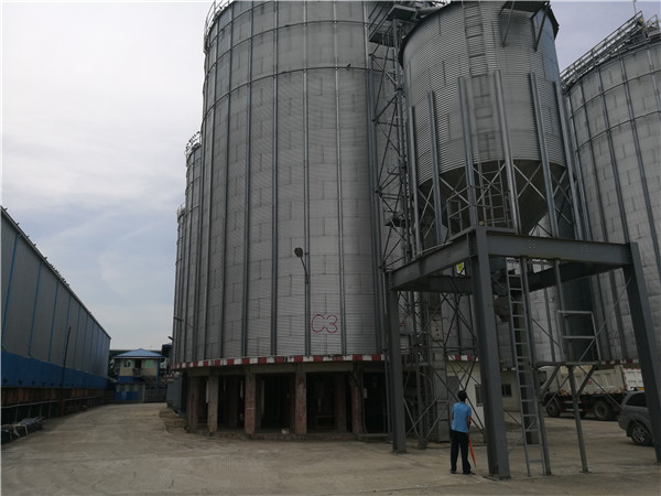 Myanmar 20000 ton wheat storage and delivering system project (1)