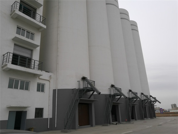 Projecte nacional d'emmagatzematge de cereals de Tianjin Jinghai (2)