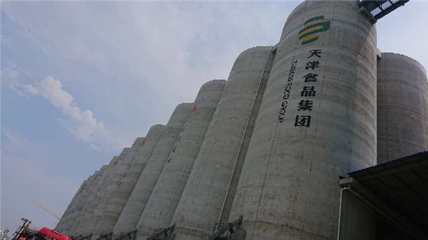 Tianjin Lida grain and oil production base construction project (5)